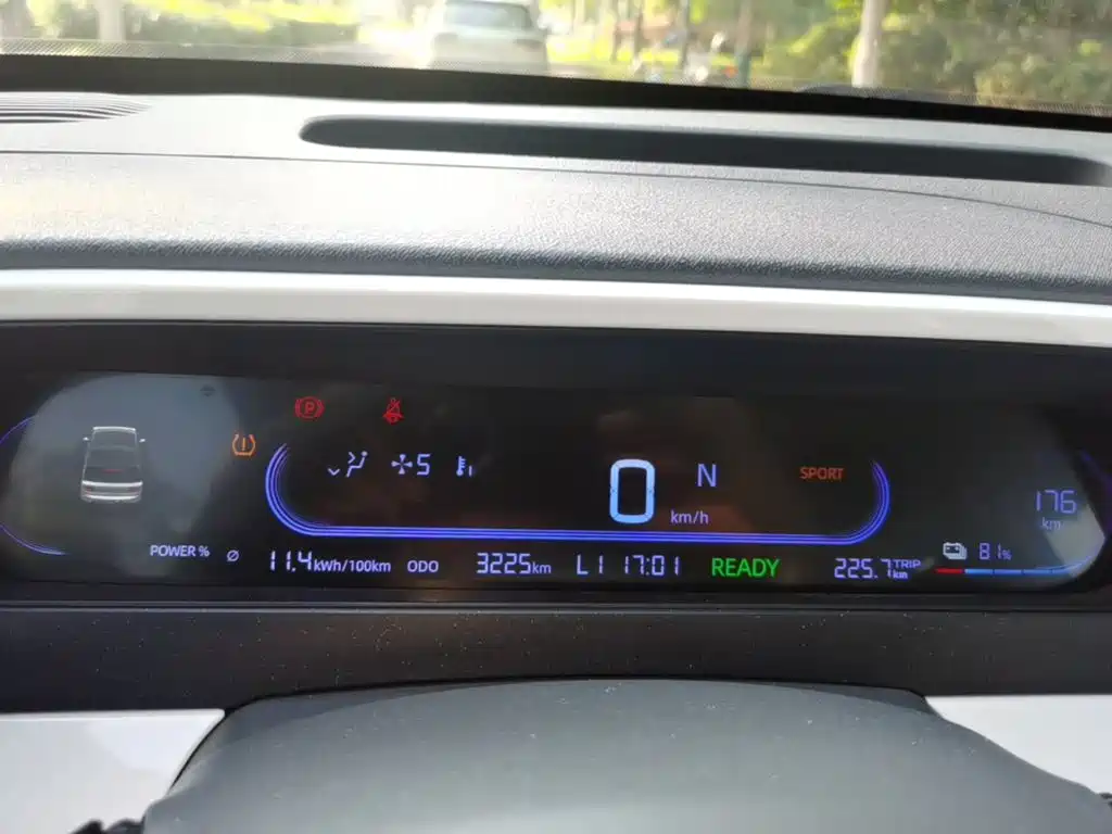 Geely Galaxy Panda 2025 2025 Panda mini 210km Vitality Bear