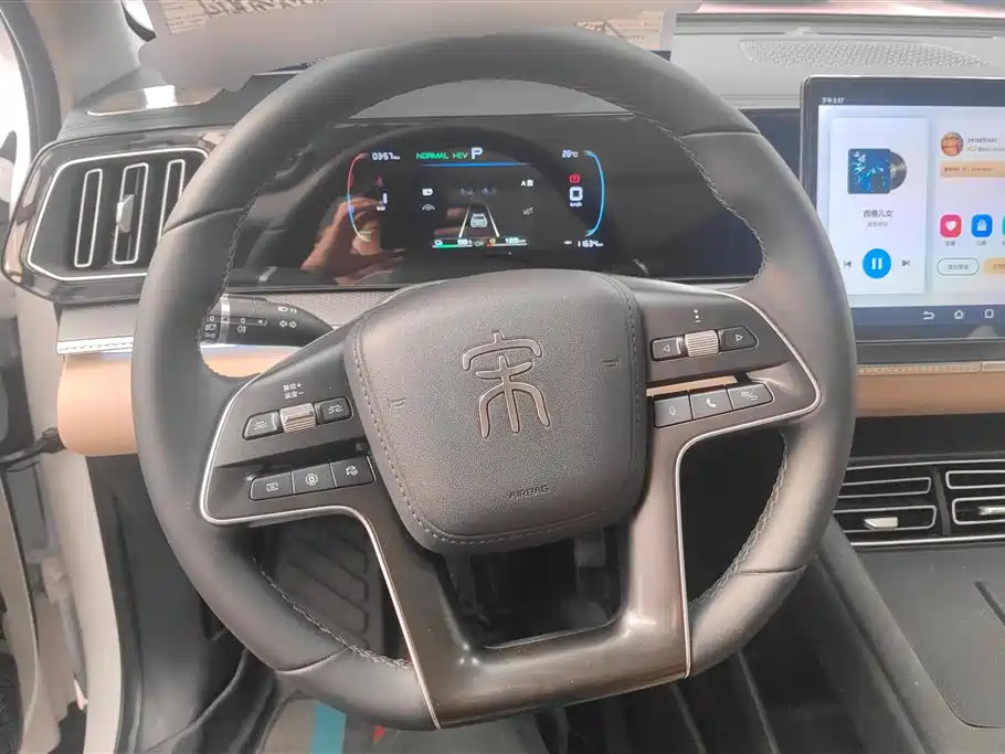BYD Song Pro New Energy 2025 2nd Gen DM-i 75KM Surpass фото 15