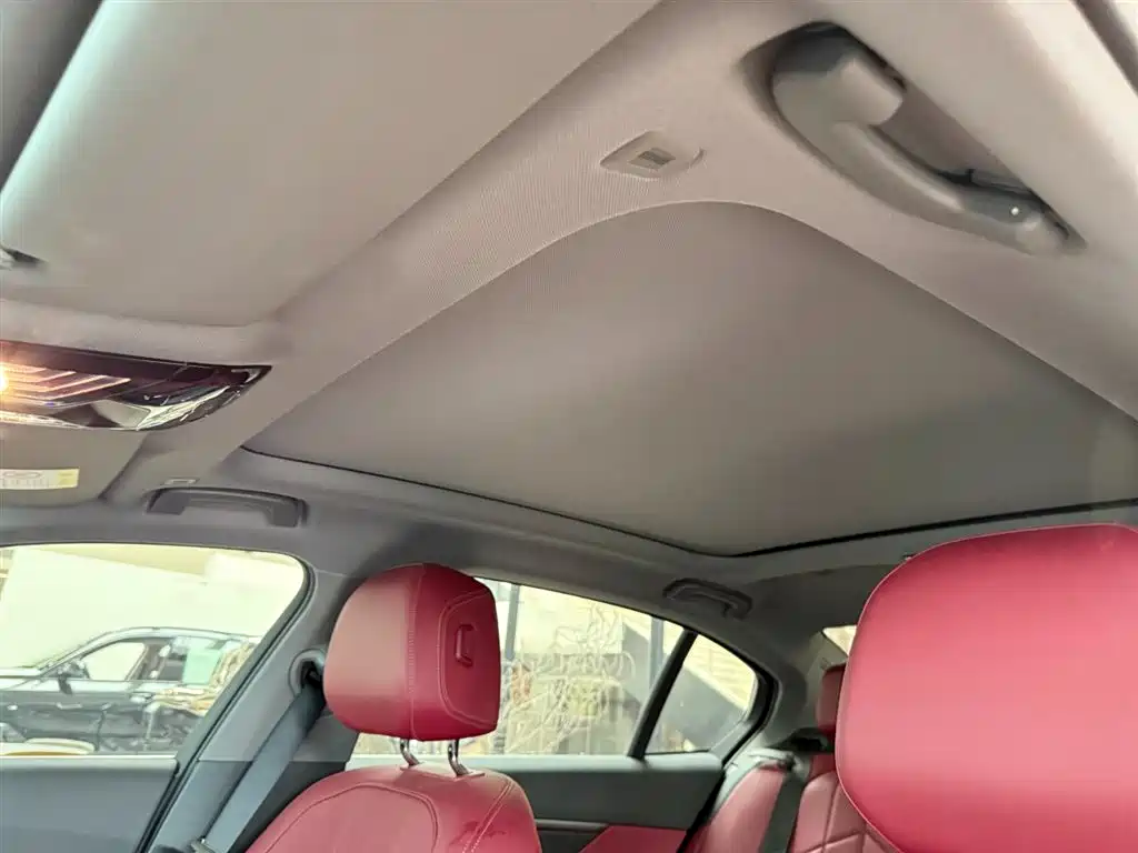 BMW 5 Series 2024 530Li Leading M Sport Package фото 4