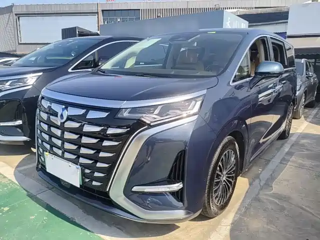  Denza Denza D9 2024 DM-i 980 AWD Flagship