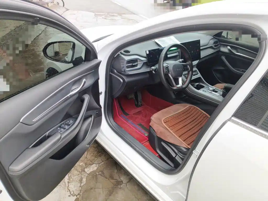 BYD Destroyer 05 2024 2024 Glory Edition DM-i 55KM Luxury