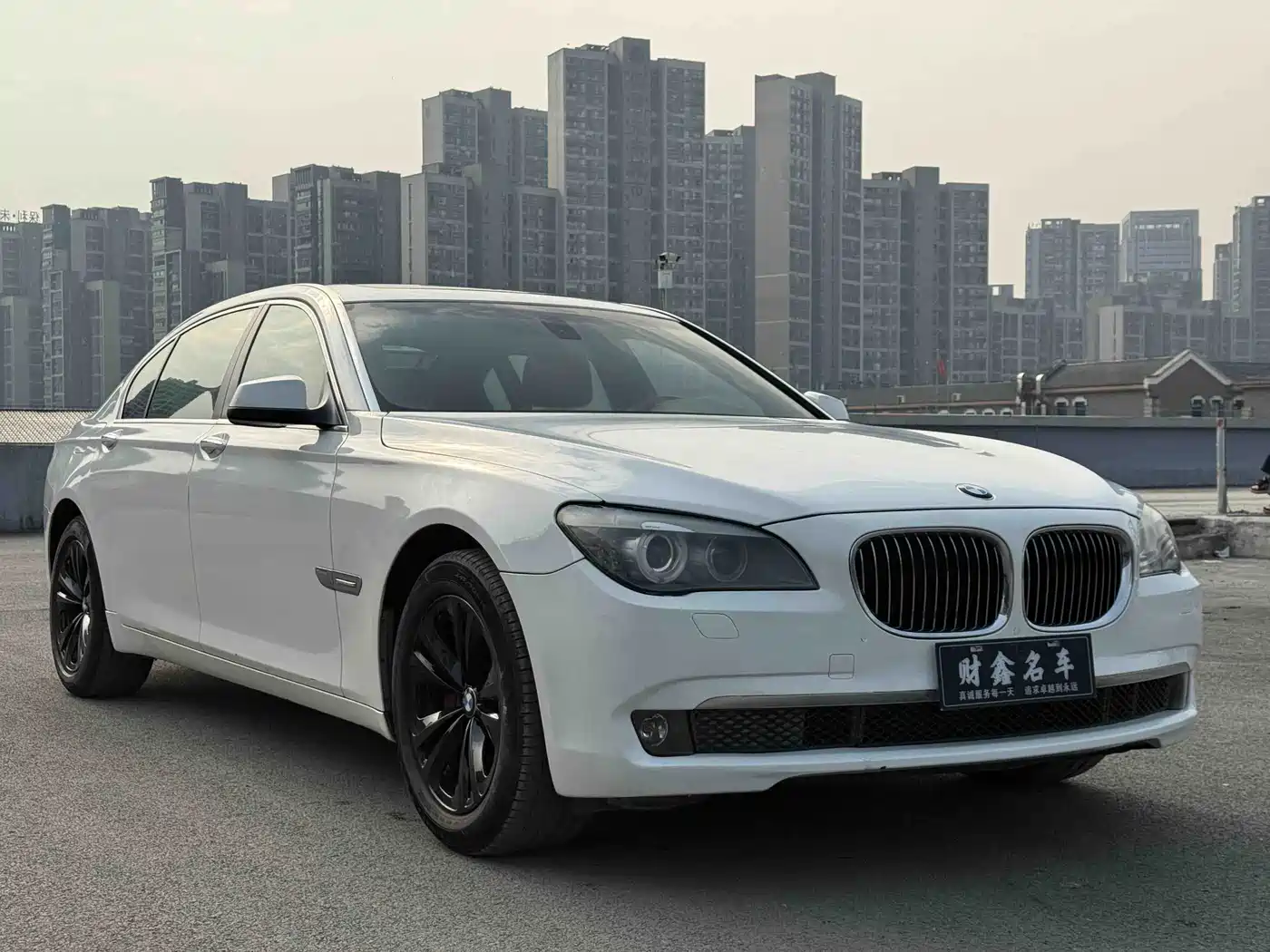 BMW 7 Series 2009 730Li Leading фото 3