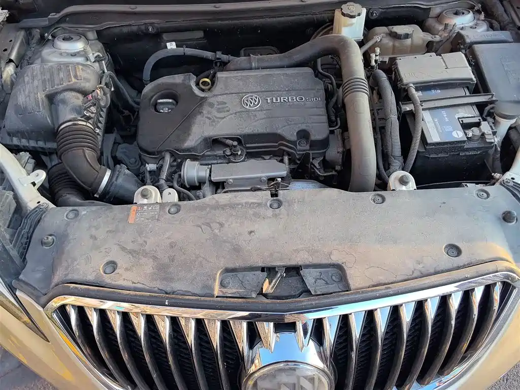 Buick Envision Plus 2015 20T 2WD Elite фото 11