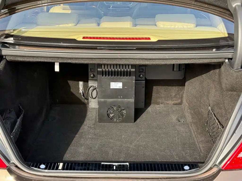 Mercedes-Benz S-Class 2010 S 600 L фото 39