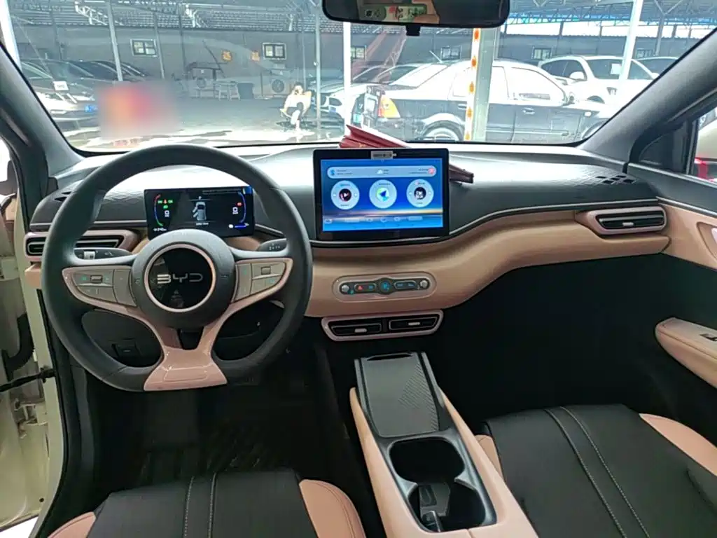 BYD Seagull 2026 2025 Smart Drive Edition 305km Vitality Version