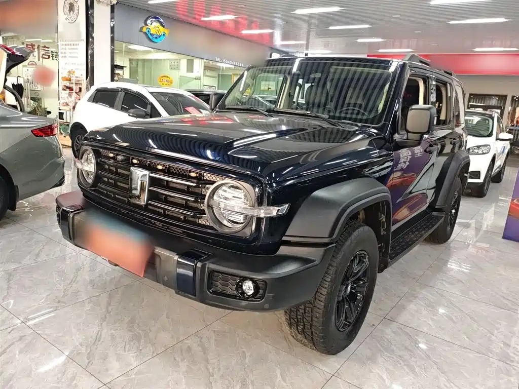 Tank 300 2023 Off-Road Edition 2.0T Conqueror фото 2