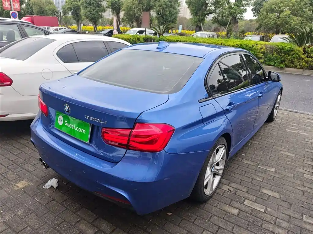 BMW 3 Series 2019 320Li M Sport Package фото 7