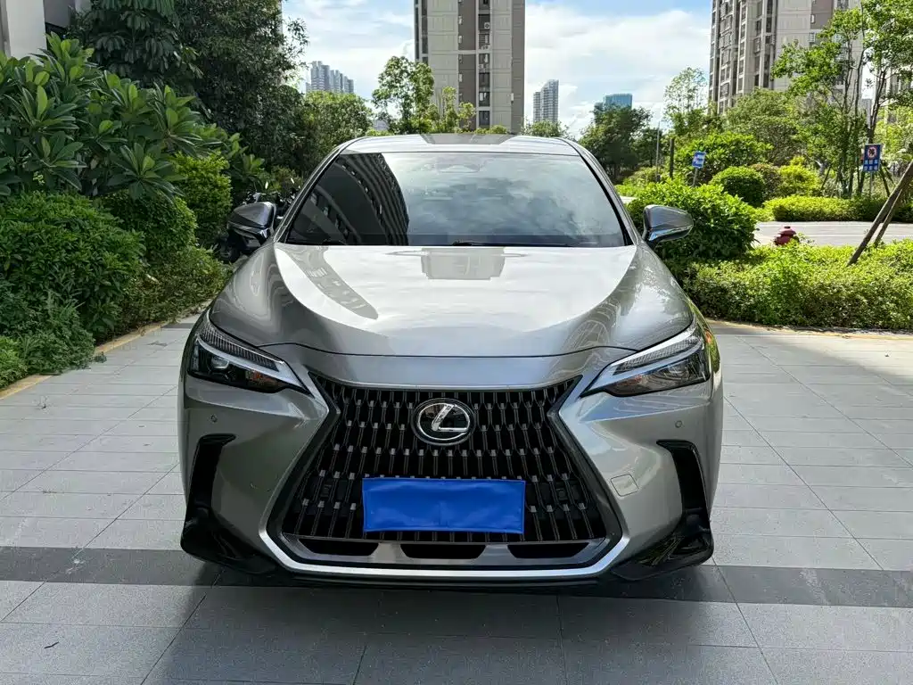 Lexus NX 2024 2024 260 FWD Innovation Edition