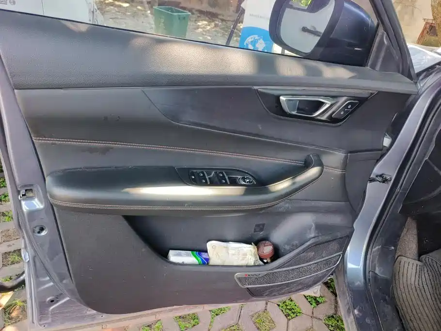 Chery New Energy Tiggo e 2020 2021 Tiger Leap Edition 95kW