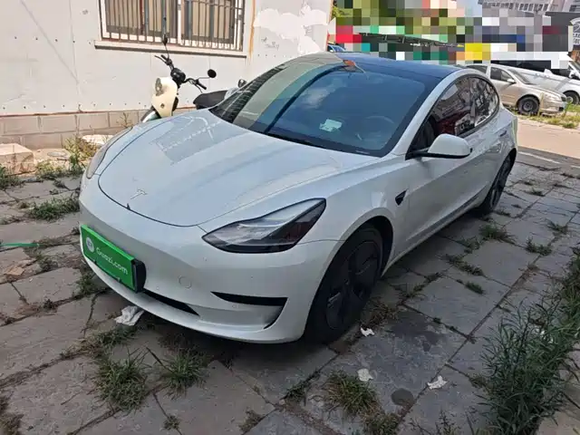 Tesla Model 3 2021