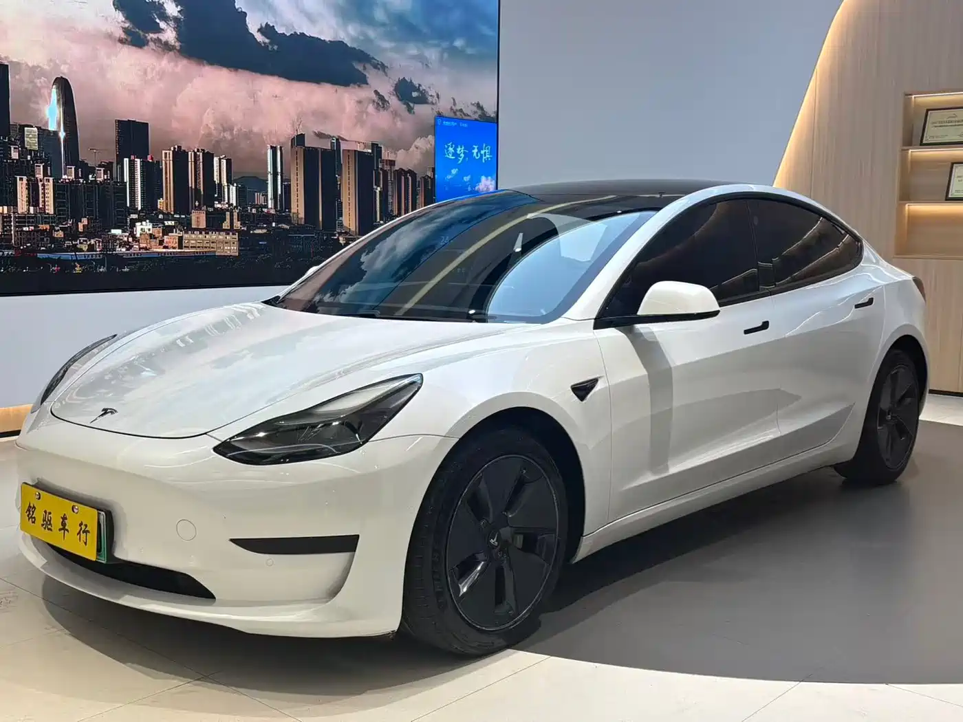 TESLA MODEL 3