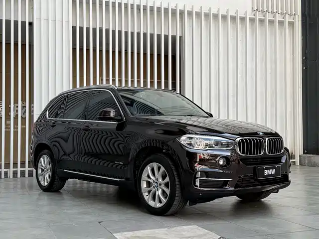 BMW X5 (Import) 2018 xDrive28i — фото 3