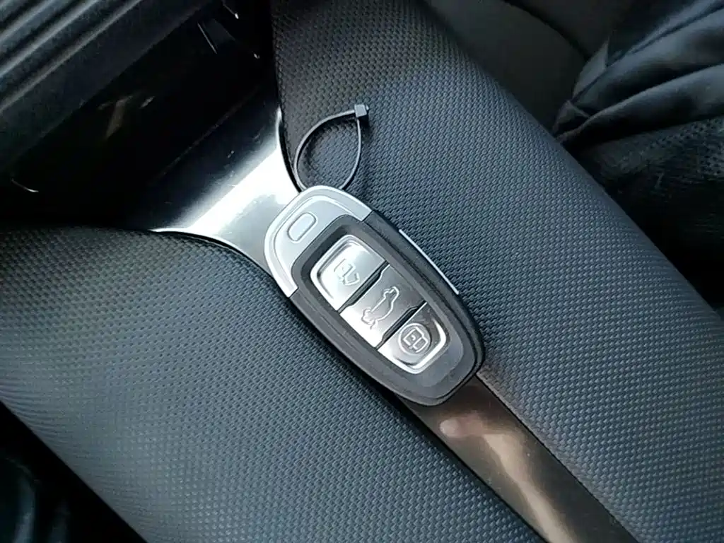Hongqi E-QM5 2022 431km Charging Enjoyment Edition фото 9