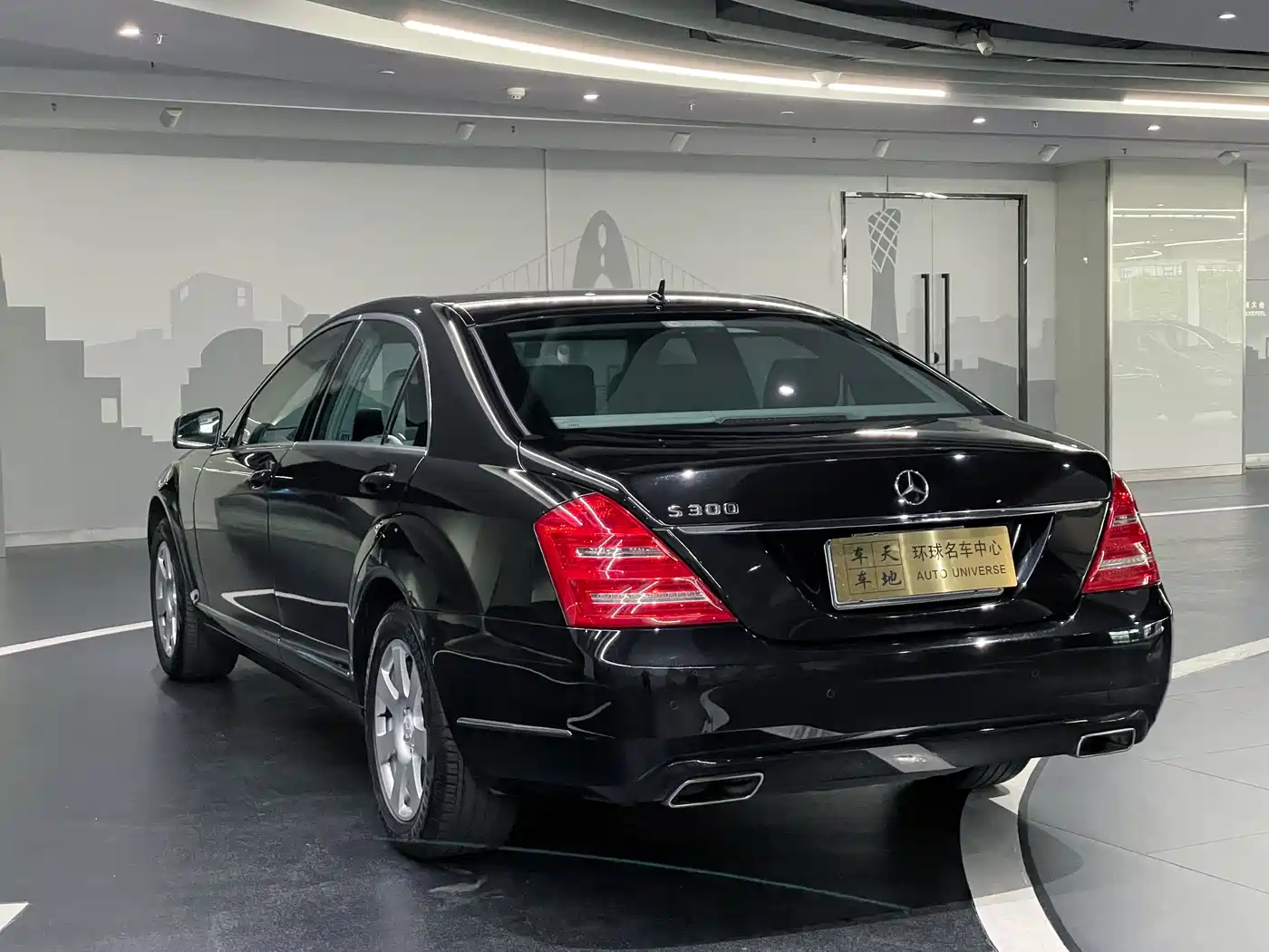 Mercedes-Benz S-Class 2010 S 300 L Business фото 6