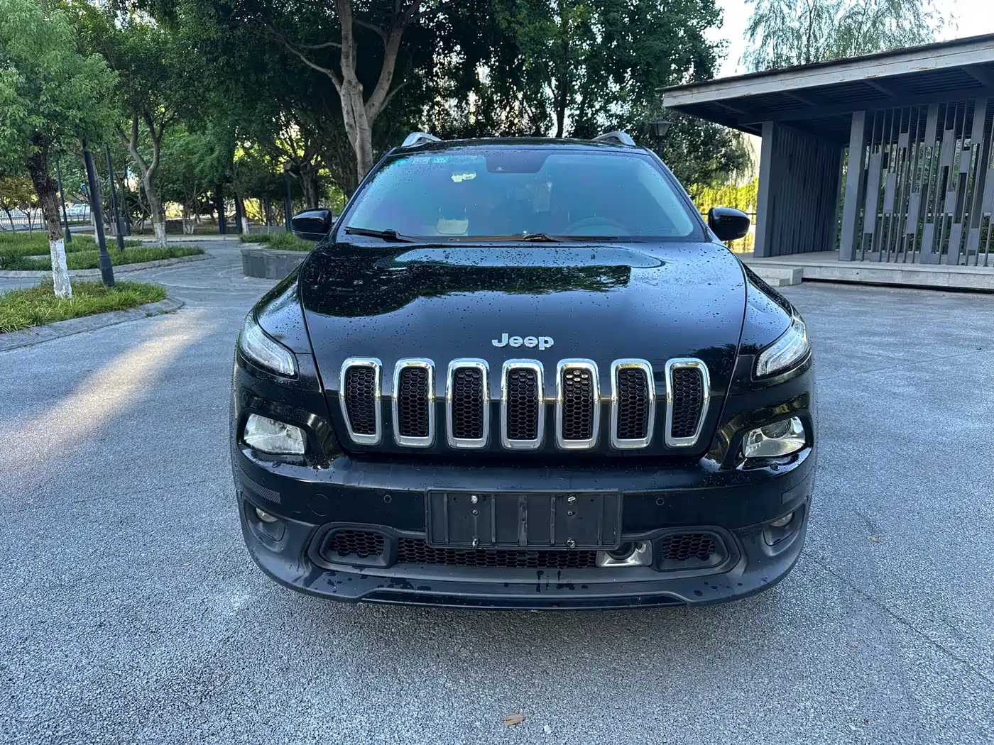 Jeep Cherokee (Import) 2014 2014 2.4L Luxury