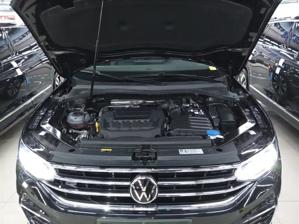 Volkswagen Tiguan L 2025 330TSI Automatic 2WD R-Line Dragon Glory Edition фото 16