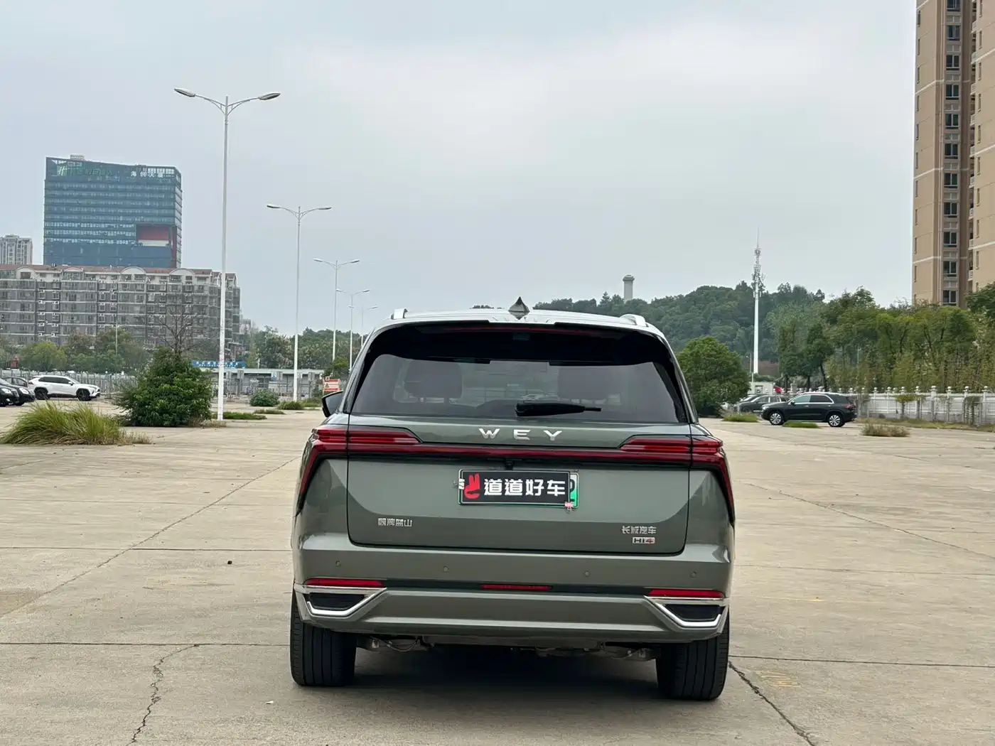 WEI PAI WEI BRAND BLUE MOUNTAIN