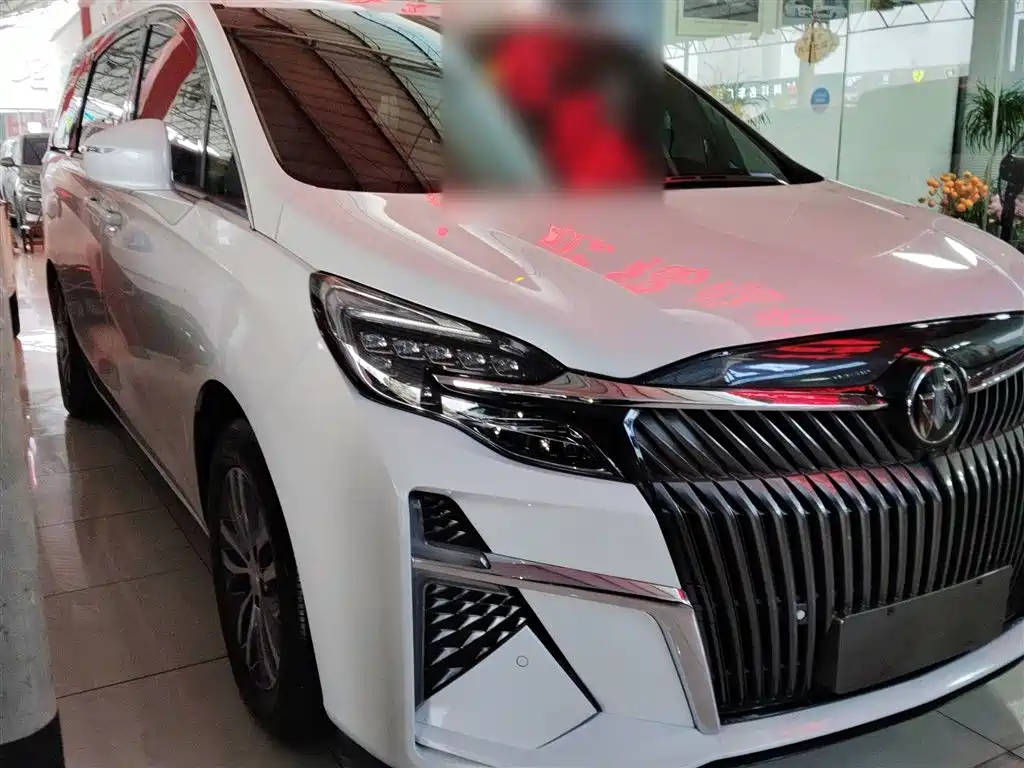 Buick GL8 2021 ES Landlord 653T Premium фото 22