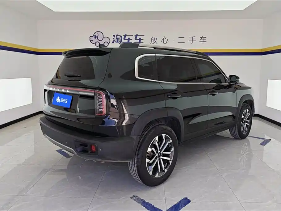 Haval Big Dog 2024 1.5T DCT Border Collie Edition фото 3