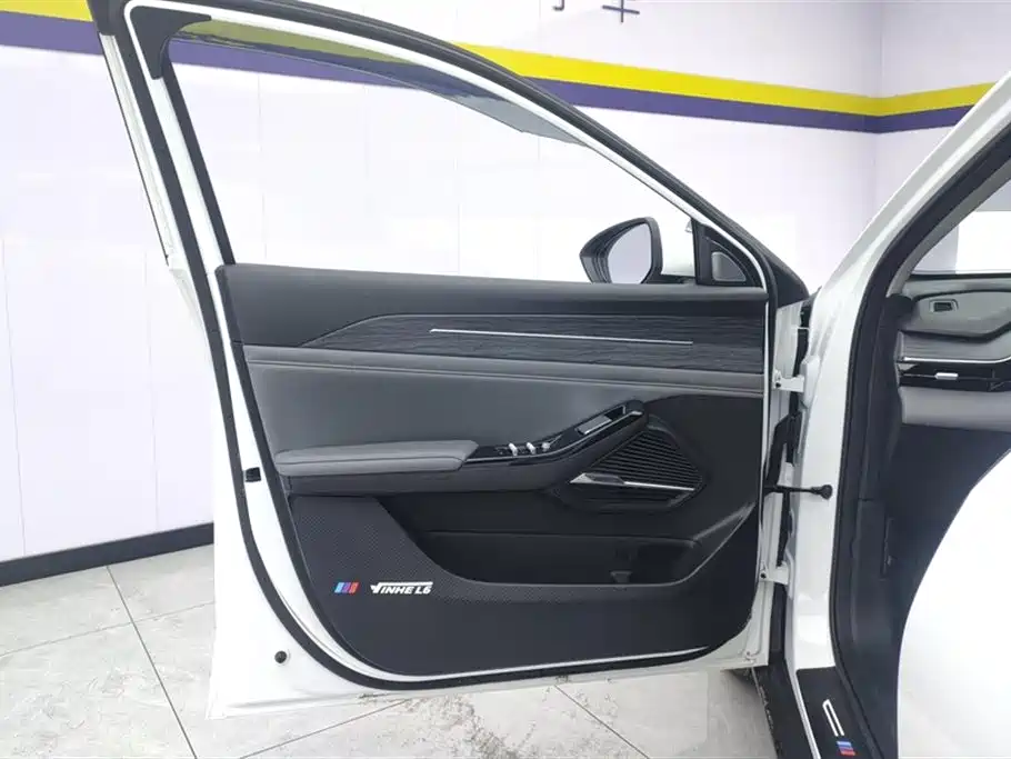 Geely Galaxy Galaxy L6 2025 EM-i 140km Voyage Edition фото 7
