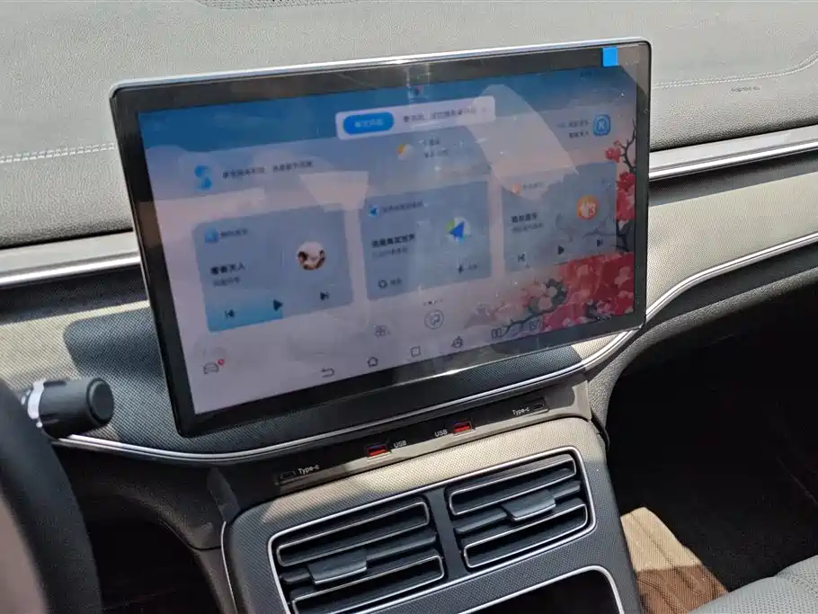 BYD Destroyer 05 2024 Glory Edition DM-i 55KM Luxury фото 13