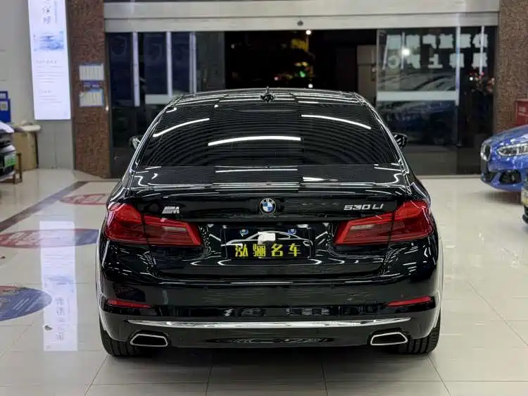 BMW 5 Series 2020 530Li Leading Luxury Package фото 5