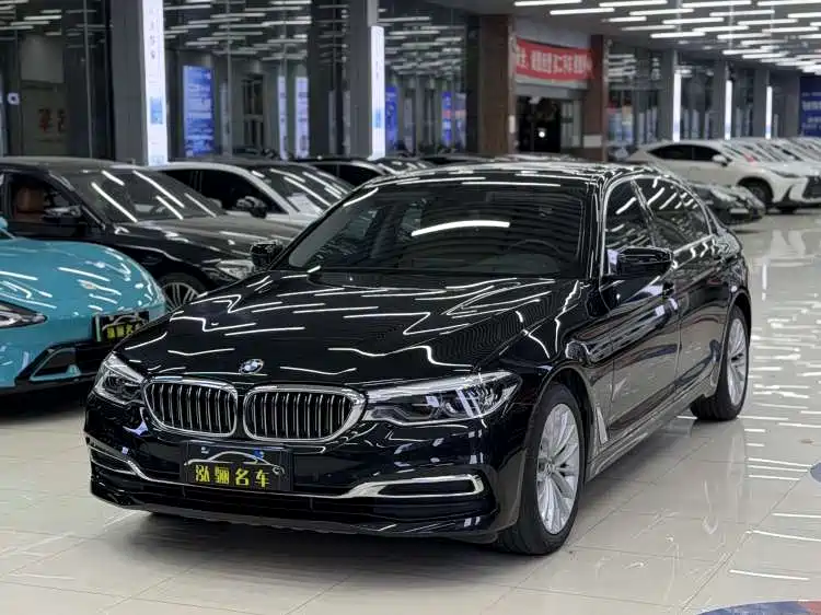 BMW 5 Series 2020 530Li Leading Luxury Package