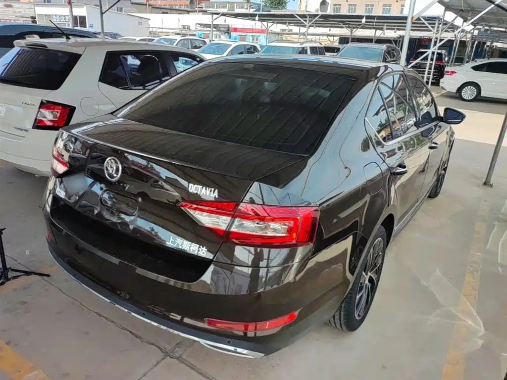 Škoda Octavia 2018 TSI280 DSG Luxury Edition фото 7