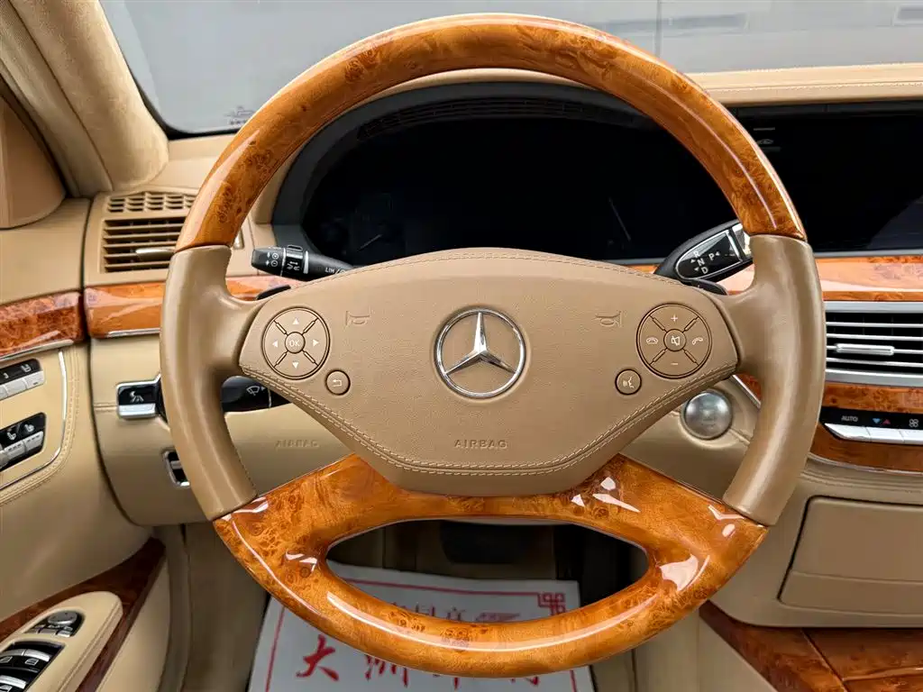 Mercedes-Benz S-Class 2010 S 600 L фото 32