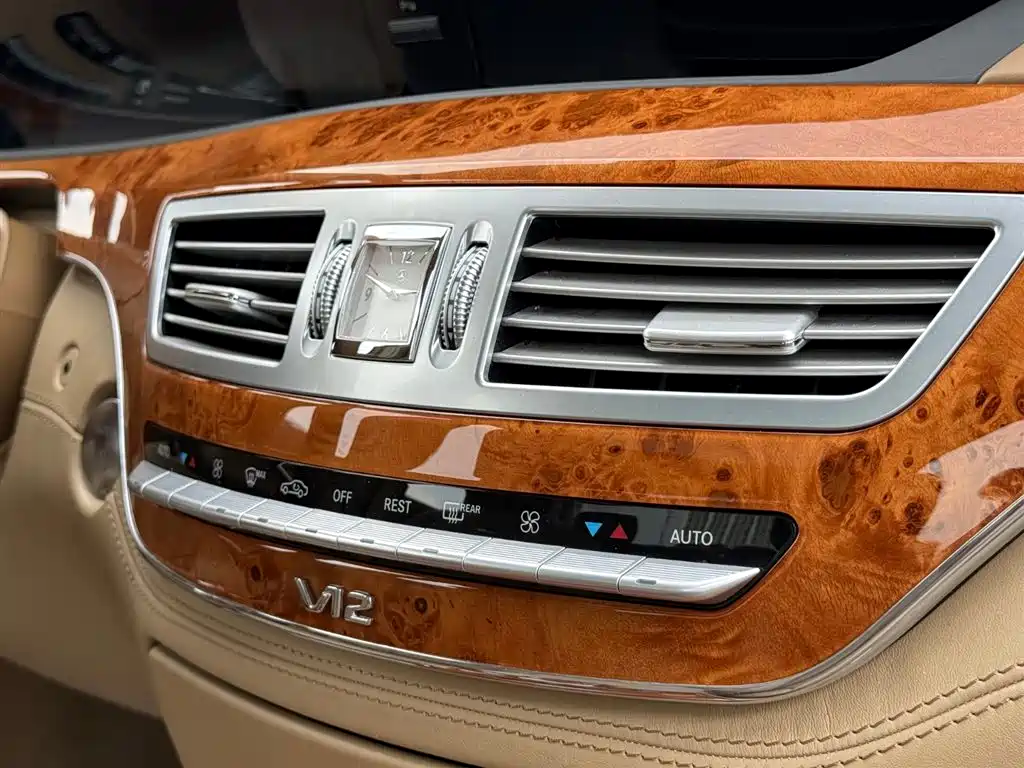 Mercedes-Benz S-Class 2010 S 600 L фото 17
