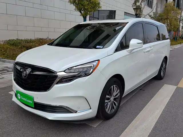 Buick GL8 ES Люкс, 653T, Престиж