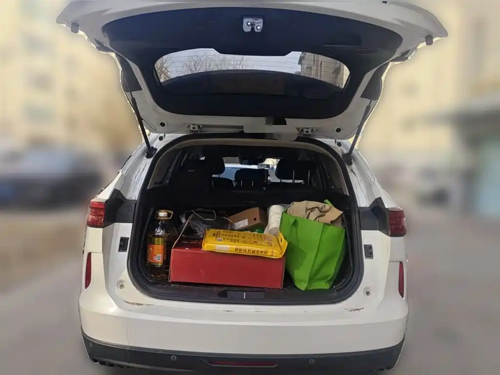 Haval H6 2021 3rd Generation 2.0T Auto 2WD Max фото 10