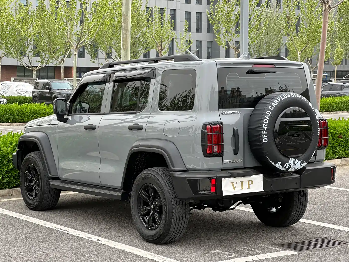 Tank 300 2023 Off-Road Edition 2.0T Conqueror фото 6