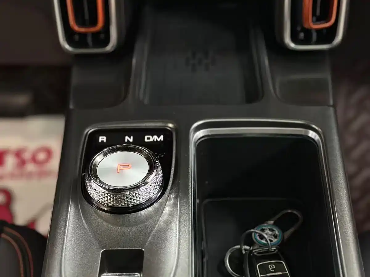 Haval Big Dog 2021 1.5T DCT 2WD Labrador Edition фото 12