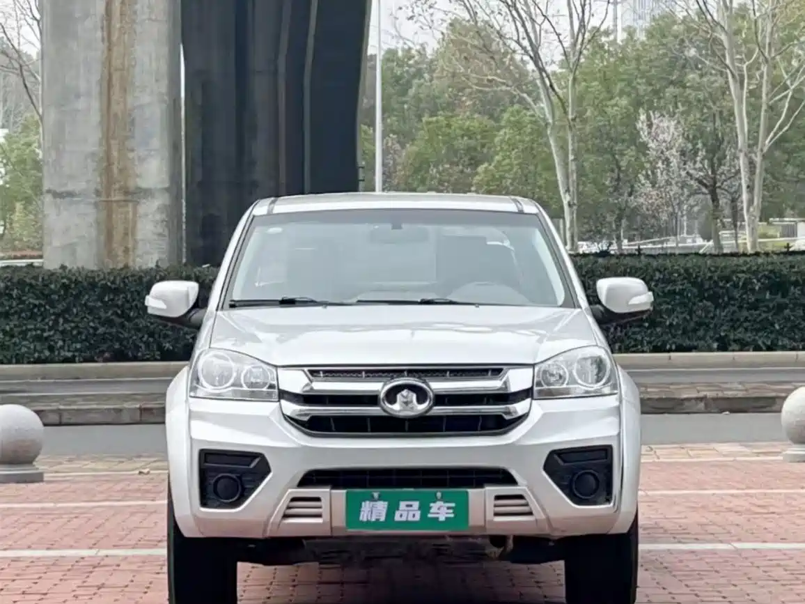 GREAT WALL FENGJUN 5