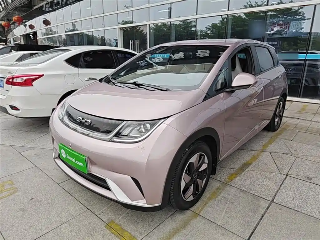 BYD Dolphin 2024 Glory Edition 420km Freedom Edition фото 2