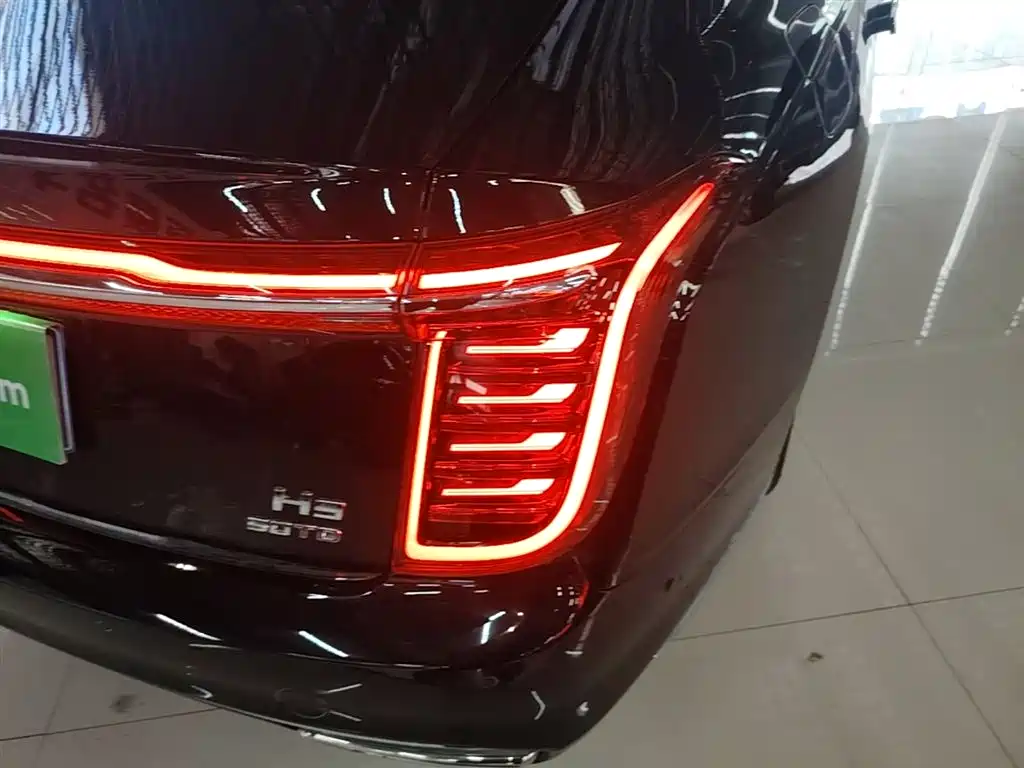 Hongqi H9 2020 2.0T Smart Connection Qi Chang Edition фото 24