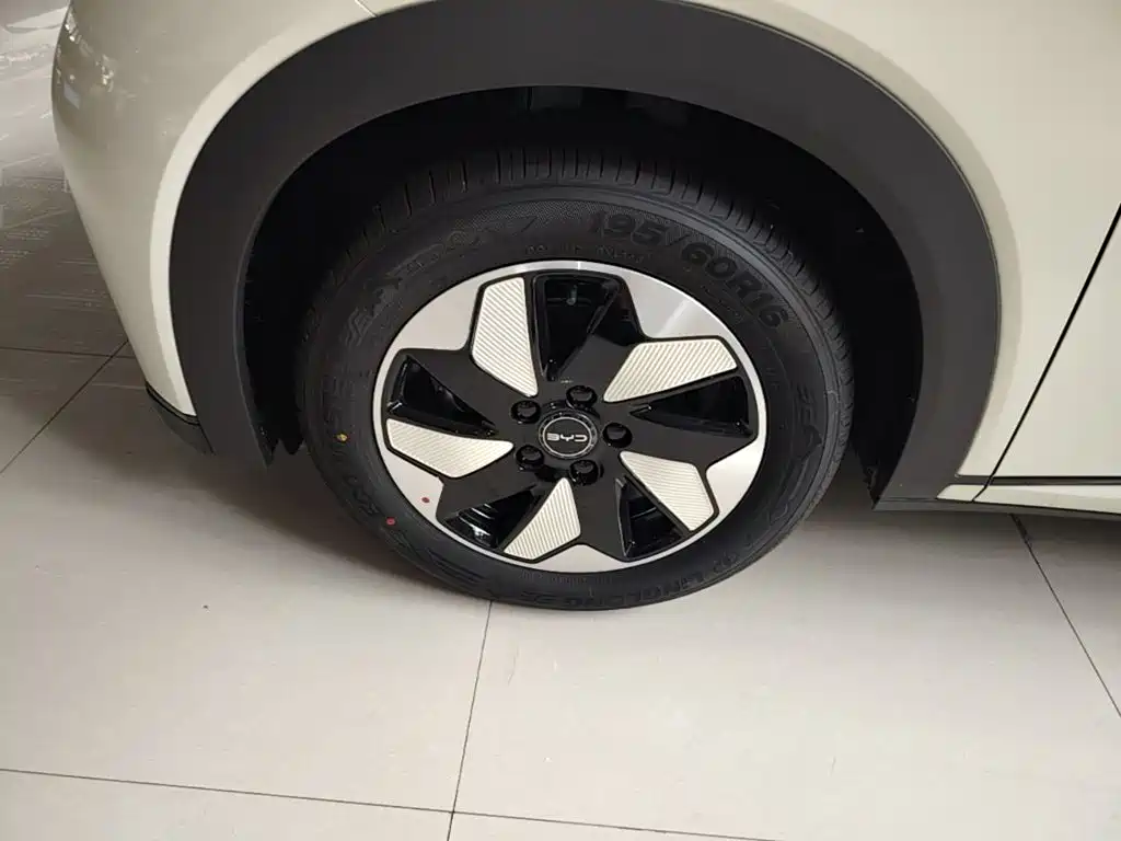 BYD Dolphin 2026 2025 420km Freedom Edition