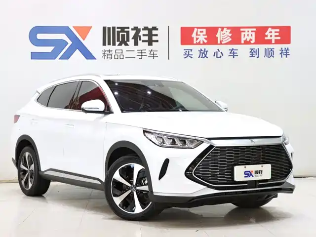 BYD Song PLUS PHEV 2021 DM-i 110KM Flagship PLUS — фото 3