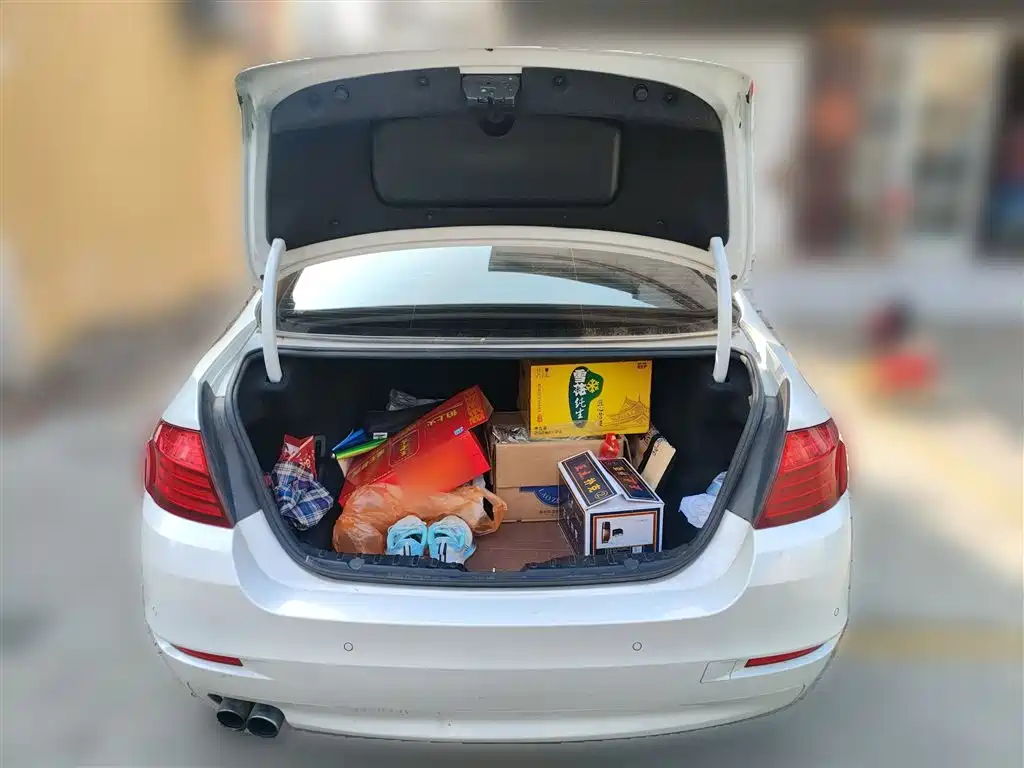 BMW 5 Series 2014 520Li Elegance фото 9