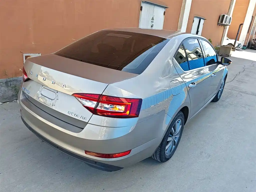 Škoda Octavia 2019 1.5L Automatic Smart Comfort China VI фото 7
