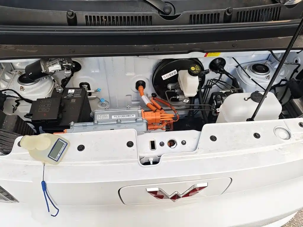 Wuling Motors Wuling Zhiguang NEV 2026 2025 Model 305km Base Version