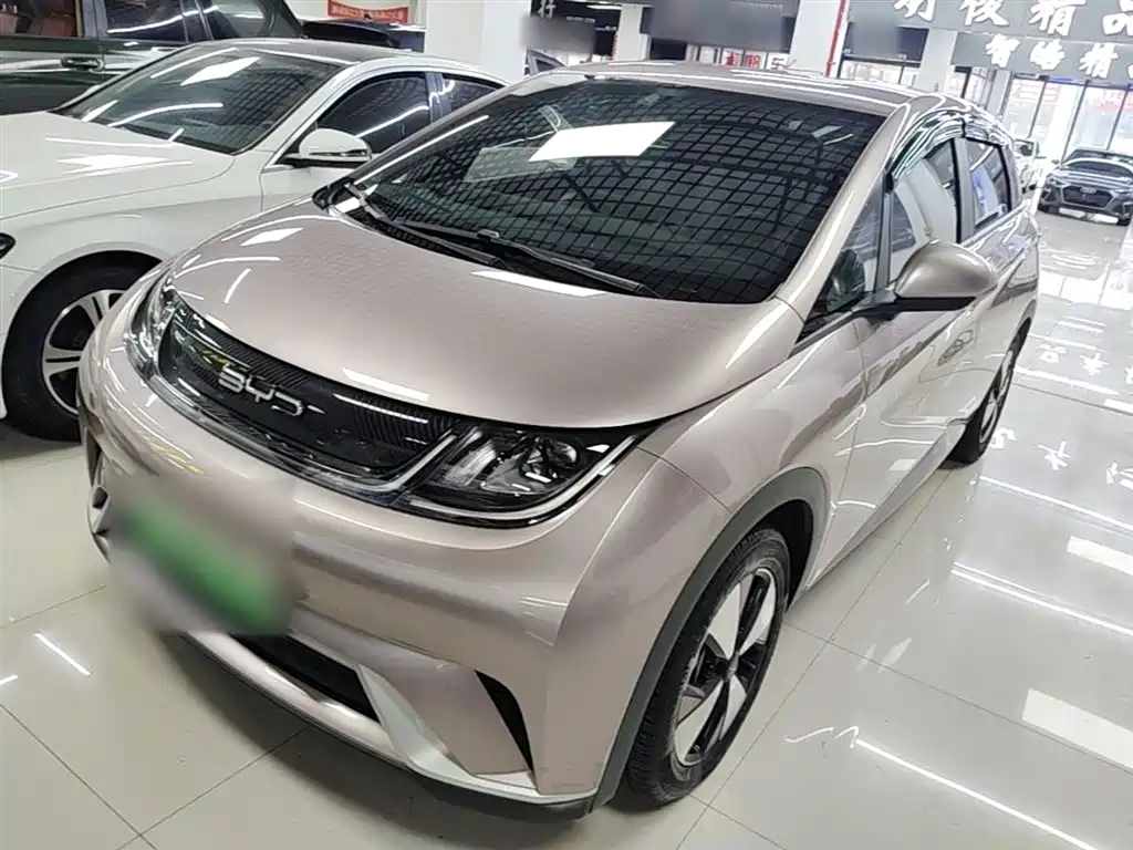 BYD Dolphin 2023 420km Freedom Edition