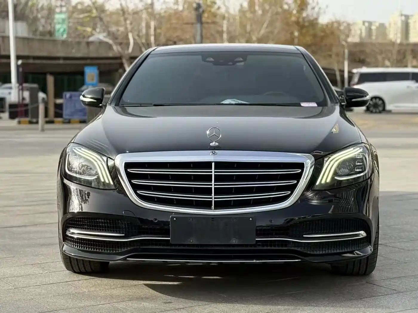 Mercedes-Benz S-Class 2018 S 350 L фото 9