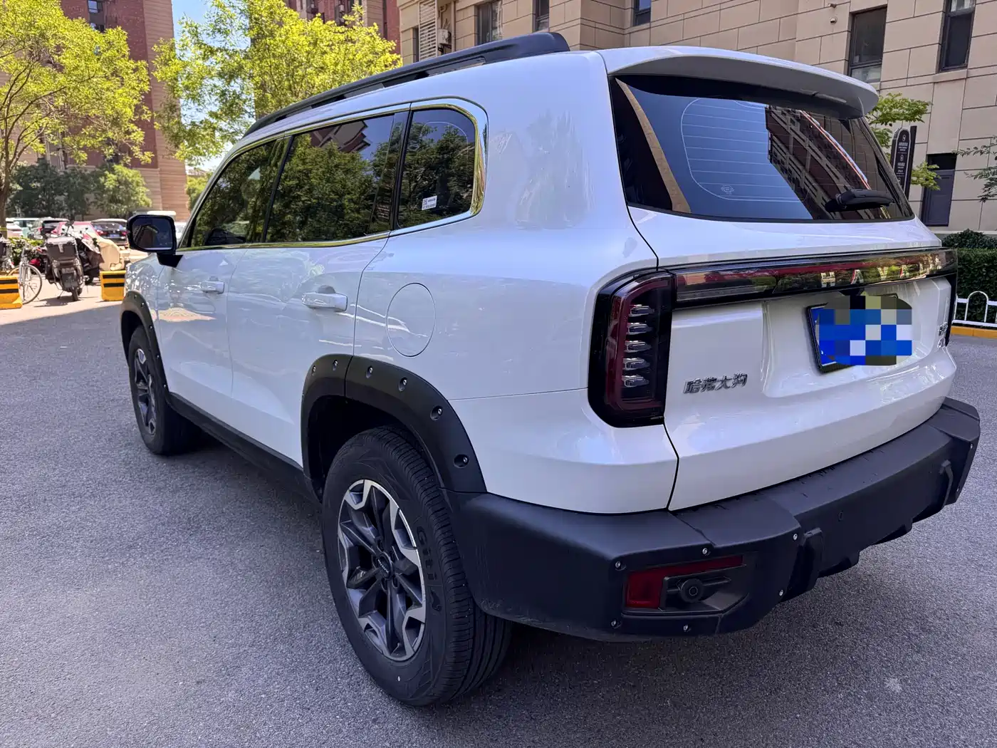Haval Big Dog 2024 2.0T DCT Chinese Rural Dog Edition фото 6
