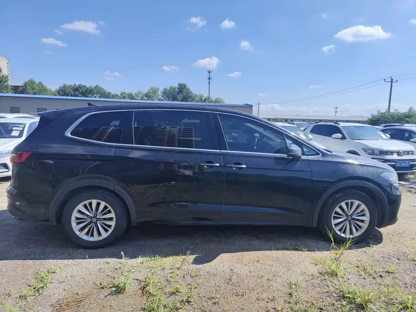 Фото 7 - Volkswagen Viloran