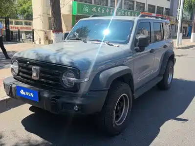 Tank 300