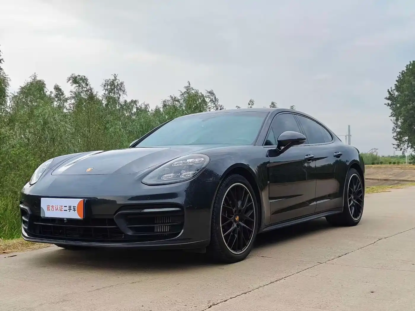Porsche Panamera 2022 Panamera 2.9T Platinum Edition