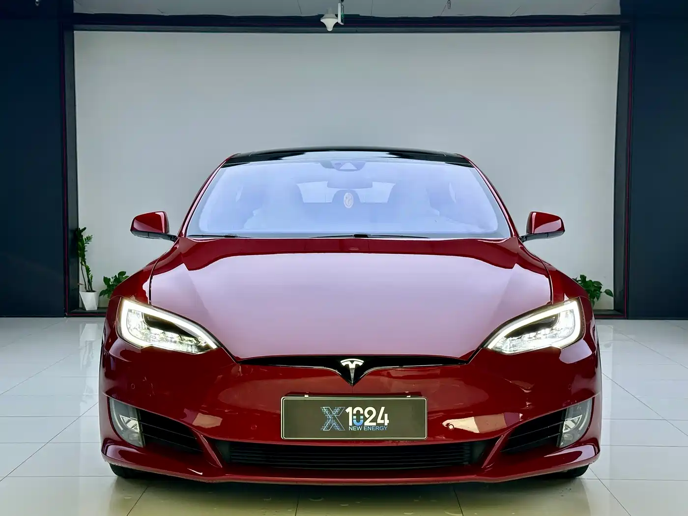TESLA MODEL S