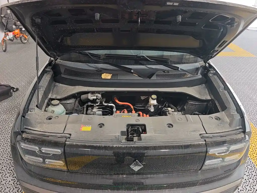 Baojun Yueye Plus 2025 2026 301km Flagship
